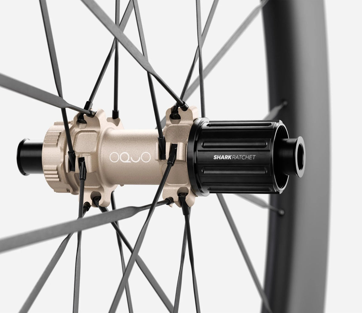 O1970075