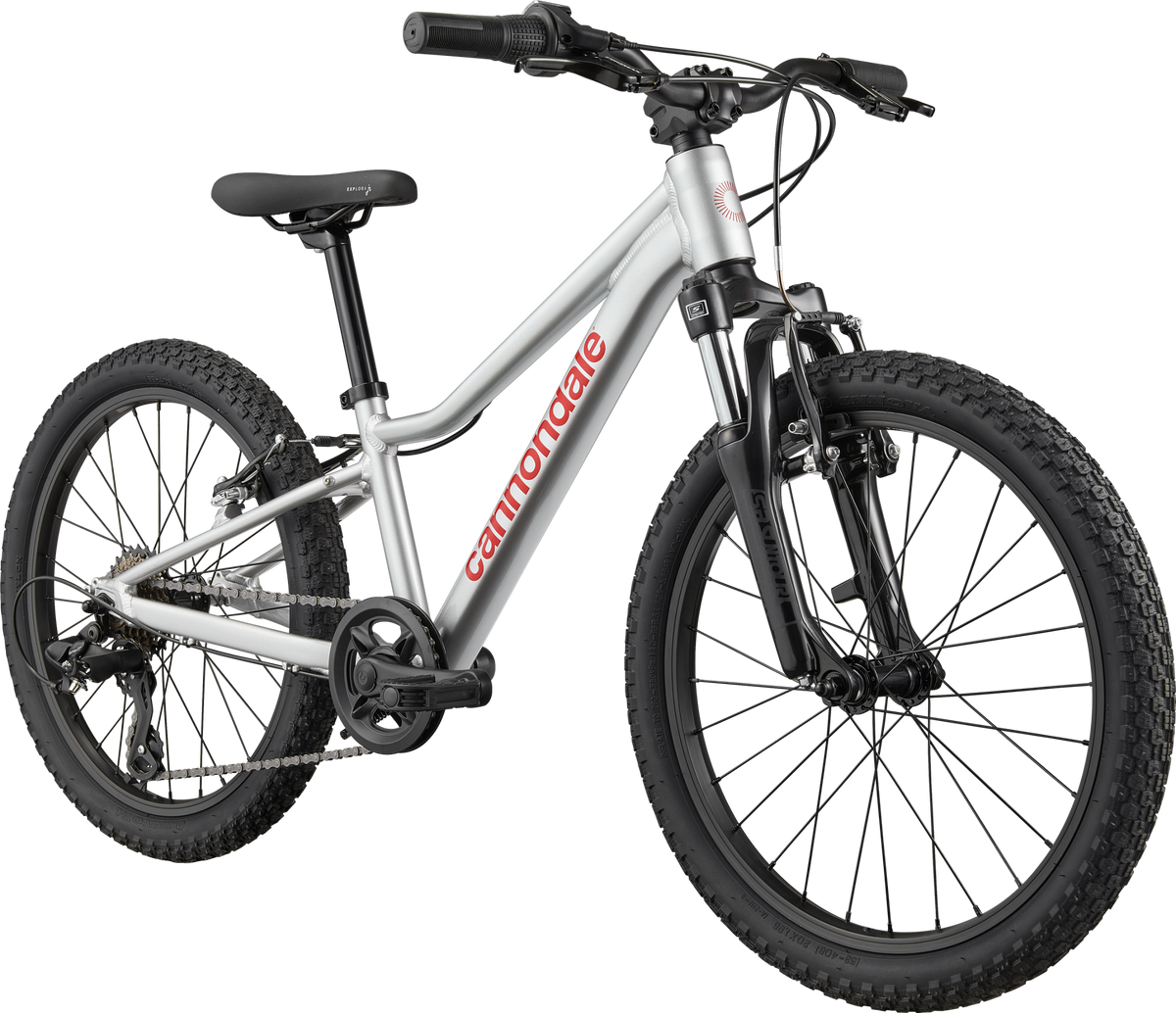 Cannondale Kids Trail 20 2026 Silver #2