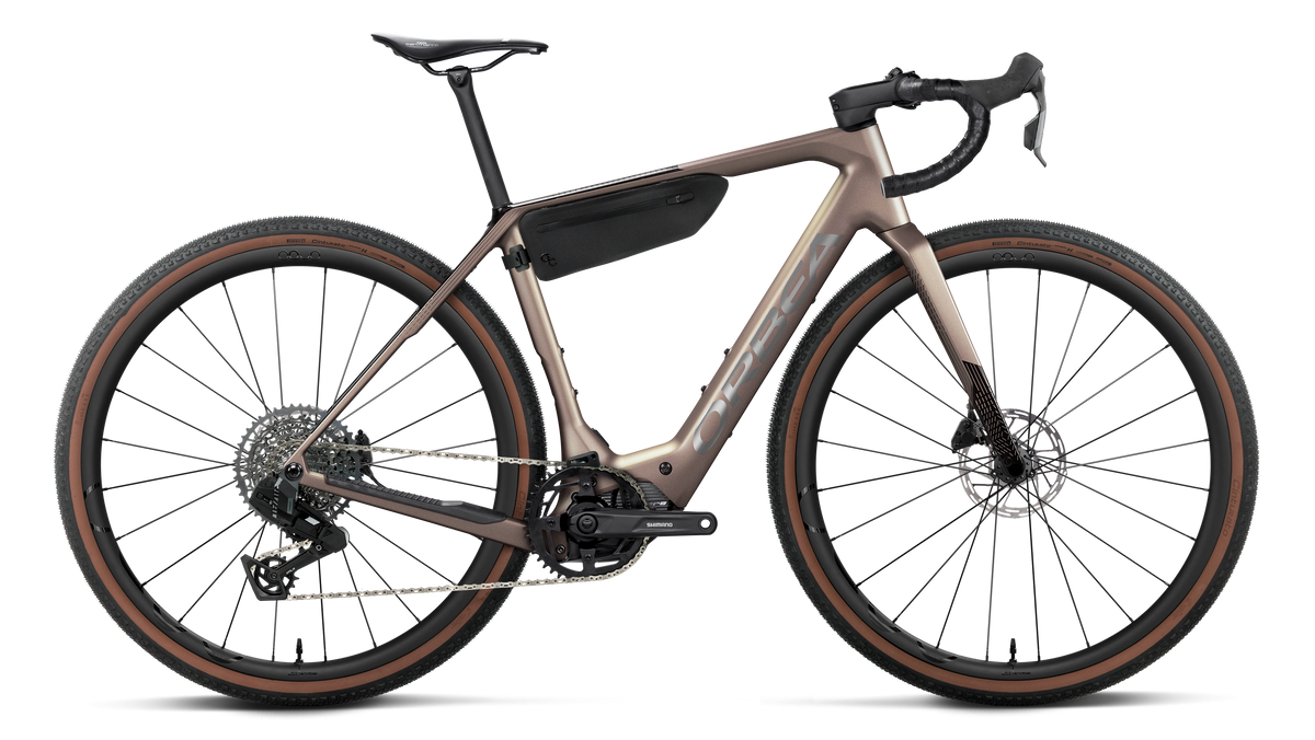 Orbea Denna M31e 2027 Nickel Matt/Carbon Raw Gloss